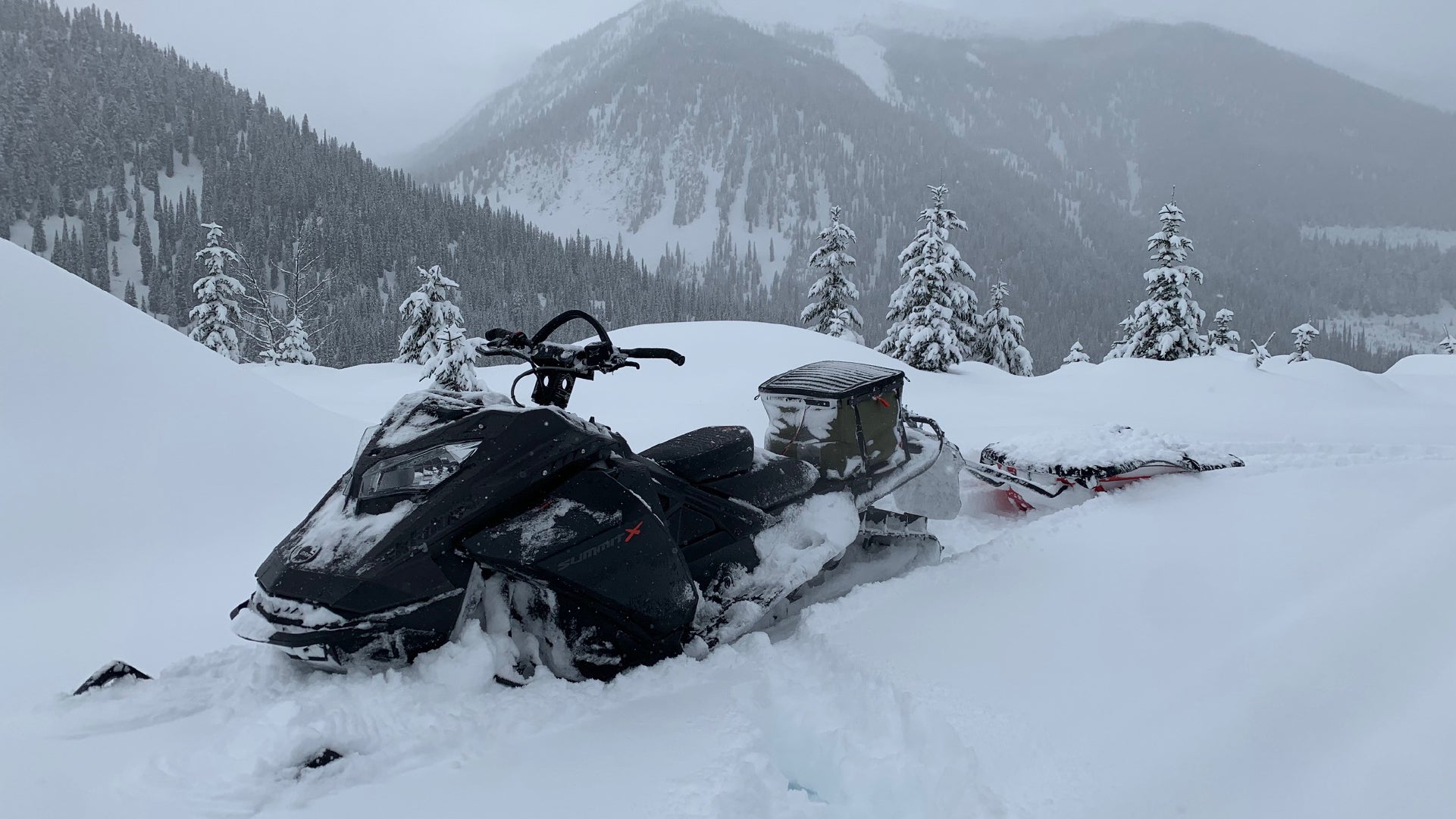 Sled RUX: Stefan Shier